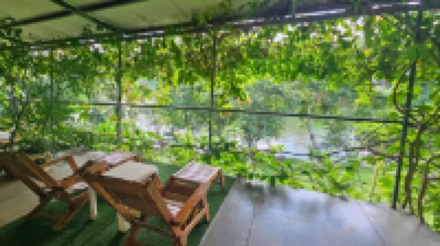 Baandin Chiewlarn Hotels near Khao Sok Lake