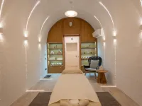 Hotel Rodina Grand Hotel & Spa Irkutsk - スパ