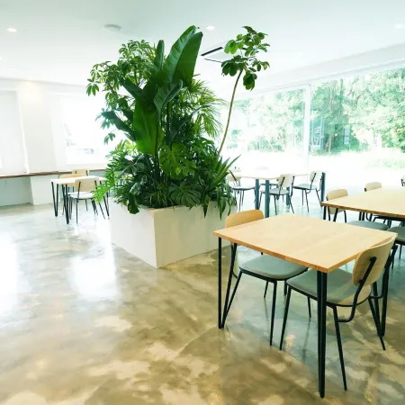 OiseSun Cafe & Hotel