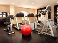 Hampton Inn & Suites Chicago-Libertyville - Træningscentre