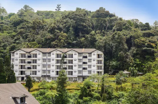 柏克蘭套房飯店