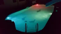Pedz Cing Mango Lodge - Pool