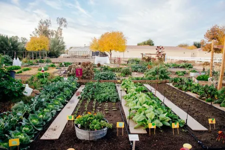 Holiday Inn Express & Suites Phoenix East - Gilbert