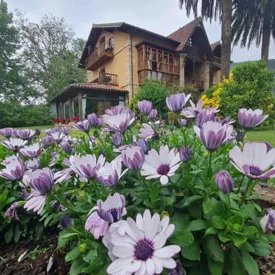 Posada Los Lienzos Hotels in Socobio