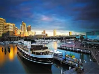 Central Glebe Room – Walk to Sydney University & Dining Hotels in Glebe