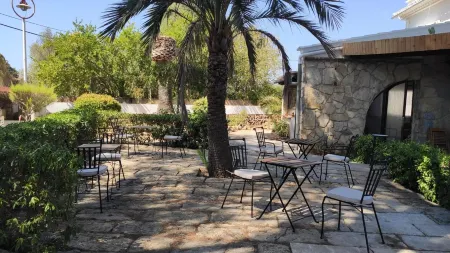 Hostal Residencia Alma Отели в г. Can Picafort