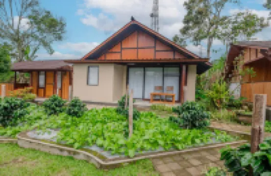 Kampung Bingo Glamping & Resto by Great Bali Villas Hotels in Bedugul