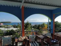 The Vieques Guesthouse - Bãi đậu xe