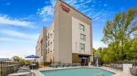 Hampton Inn & Suites by Hilton  Decatur - Pools