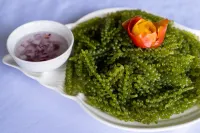 ラ エスタンシア ブスアンガ リゾート - 朝食