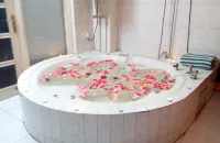 Toshali Royal View ,S H I M L A - Hot Springs