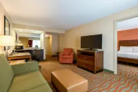 Hilton Garden Inn Arlington/Courthouse Plaza Hotels in Arlington