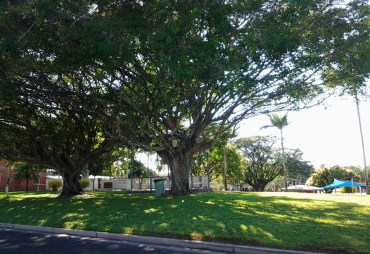 Marg's Place - Quaint Country Cottage - Housity