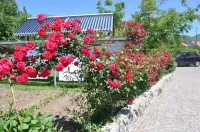 Nido Verde - Pet friendly
