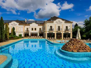 Hotel Villa Völgy Wellness & Konferencia