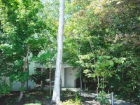 Coq Hotels near نهر تويوهيرا