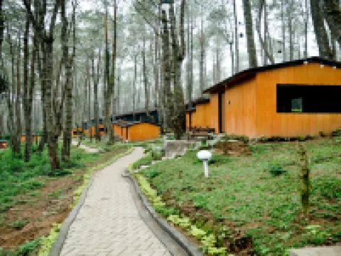 Great Panorama Lodge & Camp by Mhm シアターのホテル