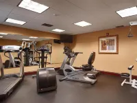 Spark by Hilton Lockport - Gym