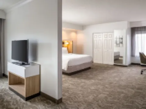 スプリングヒル スイーツ バイ マリオット ゲインズビル ゲーンズビルのホテル