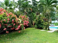 ラ ディオサ ネイチャー ロッジ のホテル