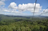 Bellbry Lodge - Homestays