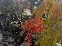 Retreat Narita Hotels near Shaka-do