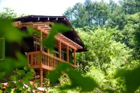 Hutte Lied - Wifi