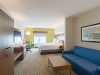 Holiday Inn Express & Suites TAMPA -USF-BUSCH GARDENS by IHG Hotels near Lowry Park
