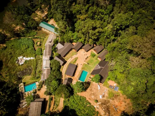 Sinharaja Forest Gate - Mountain View