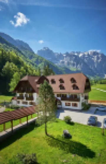 Hotel Plesnik Logar Valley