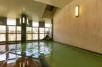 Ryounkaku Matsunoyama Onsen - Hot Springs