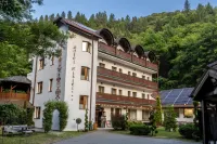 Pensiunea Sibiel Hotels in 