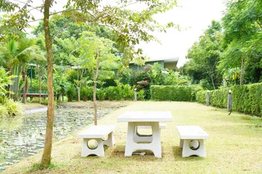 รูปภาพของกรีน 2