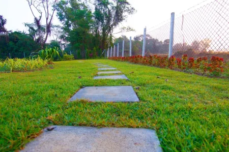 Baan Suan Mamuang Resort Отели рядом с достопримечательностью «Sun Watthanatham Changwat Lamphun Rongrian Suan Bun Yo Patham»