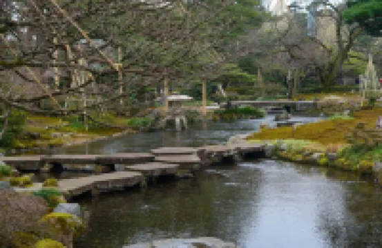 Riverside Tabi-NE