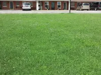 West Plains Motel Hotels in Howell County