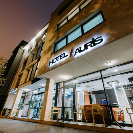 Hotel Auris