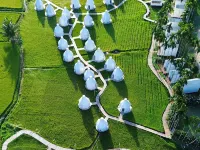 Swarnabhumi Harau Hotels in Harau
