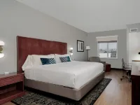 Four Points by Sheraton Houston Hobby Airport Hotels near William P. Hobby Airport