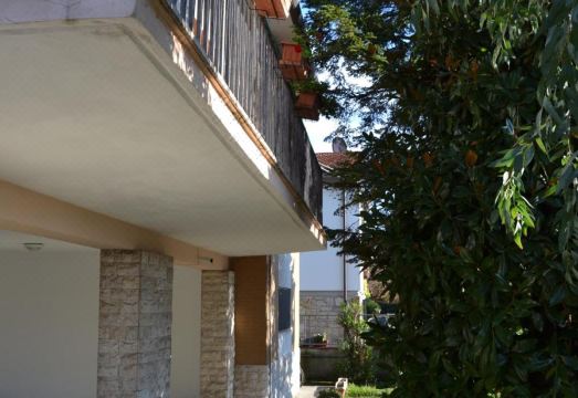 마이 웨이 피사 전경