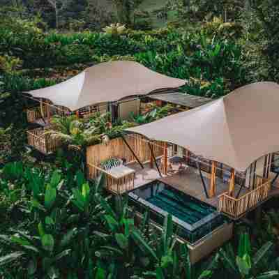 Nayara Tented Camp Hotel Exterior