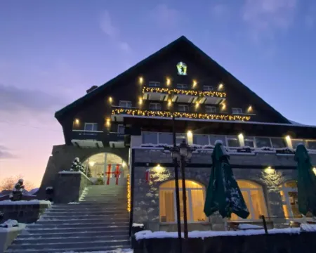 Vila Ursul Negru Hotels in Sovata