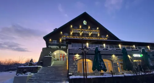 Vila Ursul Negru Hotels in Sovata