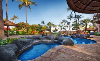 Marriott's Maui Ocean Club  - Lahaina & Napili Towers