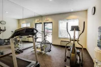 Sleep Inn & Suites Danville Hwy 58 - Gym