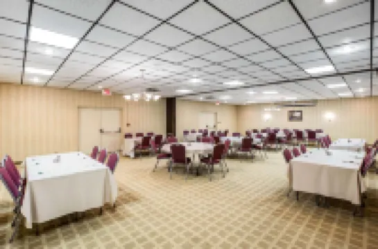 퀄리티 인 아메리쿠스