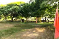 Boheda Villa, Udaipur Hotels in Kotra