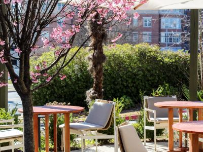 Kimpton SYLVAN ATLANTA - BUCKHEAD by IHG