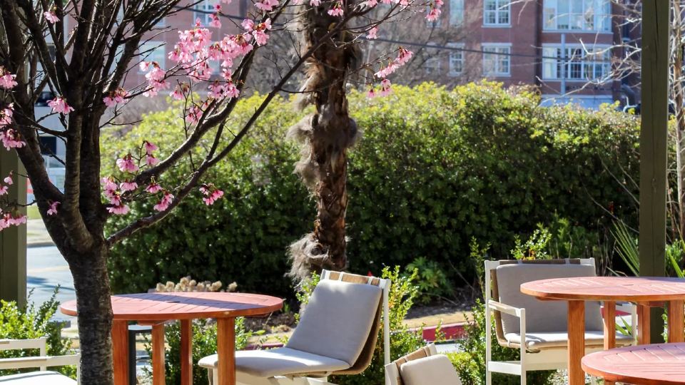 Kimpton SYLVAN ATLANTA - BUCKHEAD by IHG