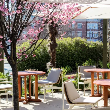 Kimpton SYLVAN ATLANTA - BUCKHEAD by IHG